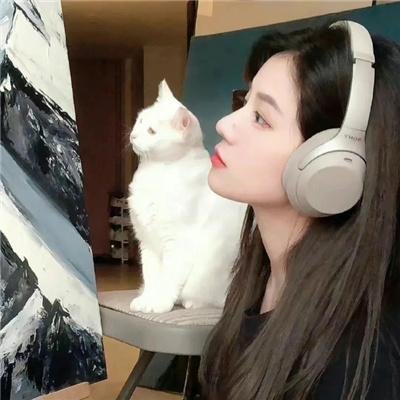 人狼游戏:疯狂的狐狸